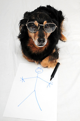 포토 JPG 해외이미지 동물 교육 행복 종이 안경 백그라운드 일러스트 유리 표시 미술 성인 사람없음 반려동물 독서 연필 펜 페인트 흰색 그리기 유머 개 스케치 스마트 그림 예술가 비전 송곳니 옛날 유래 인내 해외202004 해외포토 잡화 감정 컬러 컨셉 포유류 모션 재질 문화예술 학용품 사람 필기구 치아 파일형식 이미지허브