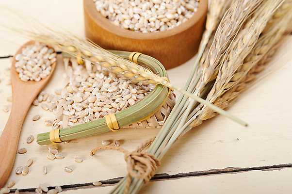 포토 JPG 해외이미지 근접촬영 사람없음 농작물 낟알 보리 보리이삭 해외202004 해외포토 뷰포인트 농업 곡류 이삭 파일형식 이미지허브