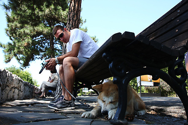 포토 JPG 해외이미지 동물 공원 얼굴 신체 한명 반려동물 일본 힘 용기 자신감 개 강아지 위험 큼 근육질 고체 기르기 지능 힘찬 해외202004 해외포토 1 그릇 공공시설 감정 아시아 컨셉 포유류 근육 사람 신체부위 크기 몸매 돌봄 파일형식 이미지허브