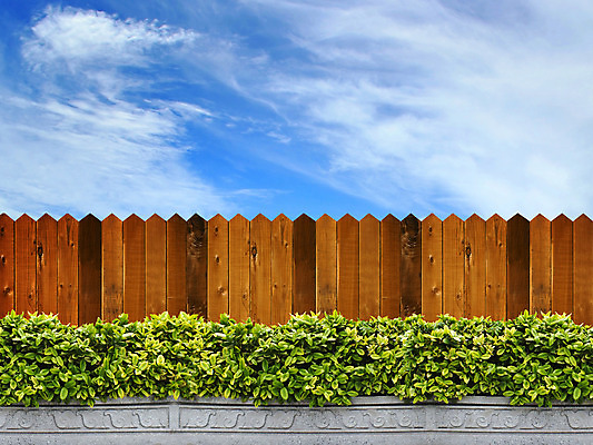 포토 JPG 해외이미지 나무 식물 백그라운드 잎 자연 하늘 프레임 사람없음 야외 초록색 태양 우주 정원 맑음 침묵 봄 성장 나뭇가지 신선 숲 묘사 질감 내추럴 디테일 해외202004 해외포토 자연요소 계절 컬러 날씨 소리 생태계 파일형식 이미지허브