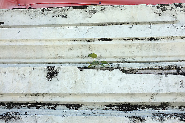 포토 JPG 해외이미지 디자인 외관 도로 벽 백그라운드 컨셉 패턴 곡선 날씨 벽돌 주택 이끼 미술 사람없음 야외 우주 계단 회색 습기 수확 죽음 도시 얼룩 거친 건축가 질감 복고 시멘트 지역 종료 창백 그런지 엘리먼트 옛날 콘크리트 노화 미니멀리스트 해외202004 해외포토 직업 길 선 컬러 무늬 농업 교통시설 문화예술 건물 파일형식 이미지허브