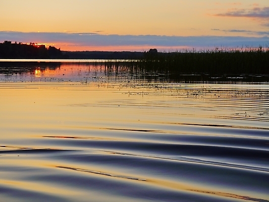 포토 JPG 해외이미지 나무 구름 밭 자연 지팡이 하늘 날씨 휴식 갈대 풍경 사람없음 파란색 태양 어둠 침묵 일몰 봄 시골 저녁 숲 즐거움 넘어짐 생태학 해외202004 해외포토 자연요소 식물 계절 교육 감정 컬러 컨셉 농업 모션 노을 소리 야간 생태계 파일형식 이미지허브