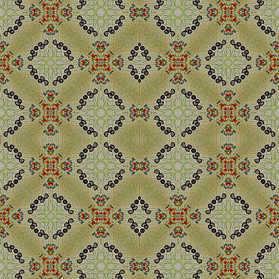 포토 JPG 해외이미지 동물 디자인 야생동물 나비 곤충 백그라운드 패턴 날개 오렌지 자연 사람없음 파란색 컬러풀 흰색 닫기 벌레 묘사 질감 내추럴 해외202004 해외포토 컬러 무늬 과일 모션 생태계 파일형식 이미지허브