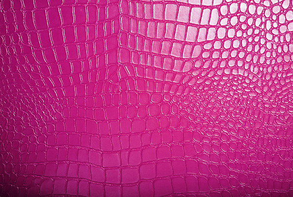 포토 JPG 해외이미지 분홍색 조각 백그라운드 패턴 파충류 추상 사람없음 가로 유행 화려 뱀 고급 우아함 가죽 피부 질감 악어 내추럴 이국적 스타일 해외202004 해외포토 동물 컬러 컨셉 무늬 신체부위 파일형식 이미지허브