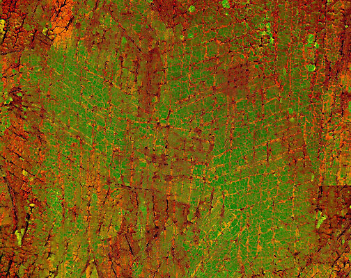 포토 JPG 해외이미지 백그라운드 추상 미술 사람없음 책 소리 페인트 손상 수확 얼룩 거친 낟알 고민 질감 먼지 덮기 공상 다리찢기 그런지 블러 옛날 이혼 효과 해외202004 해외포토 감정 컨셉 무늬 농업 모션 문화예술 파일형식 이미지허브