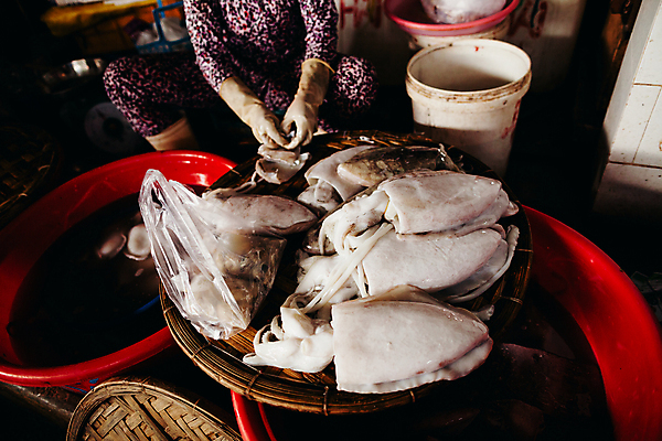 포토 JPG 해외이미지 아시아 음식 바다 백그라운드 자연 건강 요리 동양인 사람없음 쌓기 식사 저녁식사 흰색 신선 그룹 시장 먹기 해산물 오징어 날것 지역 많음 해외202004 해외포토 나라 컬러 컨셉 모션 연체동물 인종 수중동물 생태계 파일형식 이미지허브