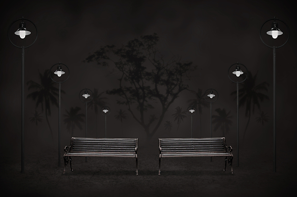 포토 JPG 해외이미지 나무 공원 컨셉 가로등 벤치 거리 그림자 미술 사람없음 야외 빛 어둠 공백 수확 안개 등불 램프 도시 야간 저녁 무서움 장면 코코넛 타운 해외202004 해외포토 자연요소 식물 공공시설 감정 농업 의자 과일 날씨 문화예술 조명 파일형식 이미지허브