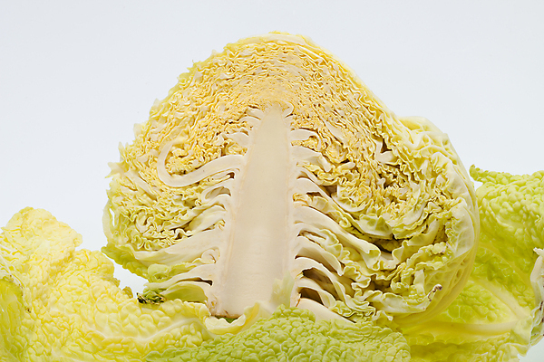 포토 JPG 해외이미지 식물 잡화 음식 백그라운드 잎 농업 다이어트 채소 재료 자연 건강 요리 사람없음 초록색 농작물 주방 정원 수확 성장 가을 나뭇가지 신선 시장 먹기 가득함 오브젝트 싱글 유기농 질감 양배추 날것 길이 내추럴 고립 숙성 식용 채식주의자 해외202004 해외포토 나무 웰빙 계절 산업 컬러 모션 생태계 채식 파일형식 이미지허브