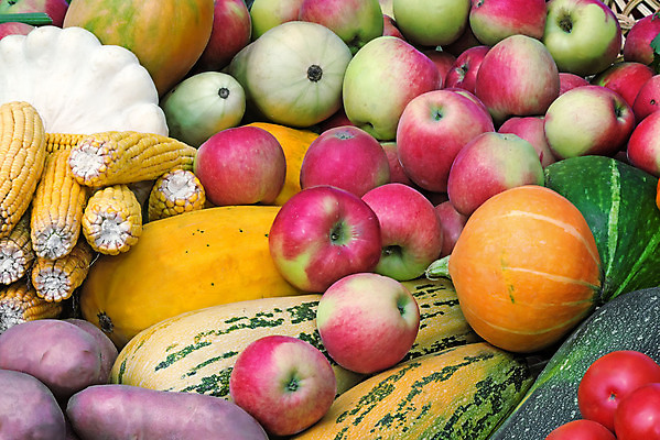 포토 JPG 해외이미지 계절 음식 백그라운드 잎 농업 채소 과일 자연 호박 감자 건강 옥수수 사람없음 야외 장식 빨간색 초록색 햇빛 농장 노란색 세일 마을 수확 가을 신선 최고 사과 농부 9월 먹기 그림 진열장 원예 건강식 공평 내추럴 숙성 주키니 채식주의자 해외202004 해외포토 식물 직업 산업 컬러 모션 곡류 취미 태양 날짜 생태계 채식 파일형식 이미지허브