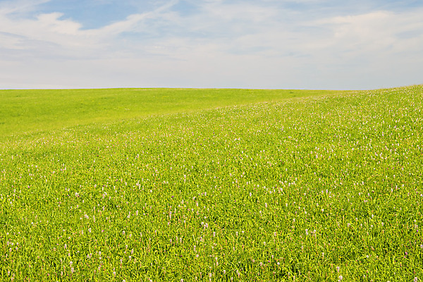 포토 JPG 해외이미지 구름 디자인 선 백그라운드 밭 농업 자연 하늘 날씨 사람없음 초록색 파란색 빛 우주 젖음 자유 오픈 내추럴 무료 해외202004 해외포토 자연요소 산업 컬러 컨셉 생태계 파일형식 이미지허브