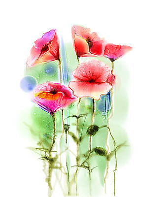 포토 JPG 해외이미지 식물 손 디자인 배너 꽃잎 꽃 종이 분홍색 꽃다발 백그라운드 꽃무늬 밭 일러스트 자연 추상 수채화 미술 사람없음 장식 빨간색 물 여름 컬러풀 정원 페인트 봄 벚꽃 흰색 나뭇가지 인사 붓 신용카드 그리기 개화 그림 질감 양귀비 내추럴 고립 해외202004 해외포토 자연요소 나무 계절 컬러 무늬 농업 모션 문화예술 신체부위 금융 예절 생태계 파일형식 이미지허브