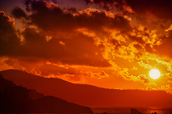 포토 JPG 해외이미지 나무 공원 모래 바다 섬 여행 자연 하늘 휴가 휴식 항해 풍경 사람없음 물 여름 빛 평화 환경 흰색 스페인 아래 태평양 암초 천국 감탄 파라다이스 안락 해외202004 해외포토 자연요소 식물 계절 공공시설 유럽 컬러 컨셉 배_교통 방향 생태계 위치 파일형식 이미지허브