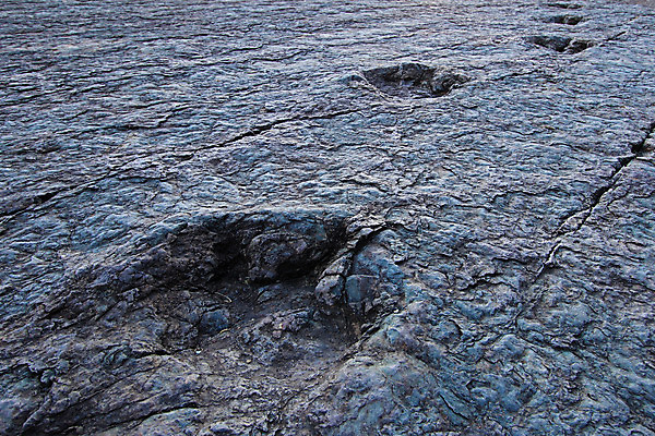 포토 JPG 해외이미지 공원 벽 여행 공장 자국 파충류 사람없음 미국 도시 인쇄 큼 발자국 발굴 공룡 박물관 과거 시멘트 지역 고생물 단계 남쪽 추적 고고학 볼리비아 양발 잉카 지질학 해외202004 해외포토 동물 공공시설 교육 컨셉 북아메리카 공업 모션 생물 아메리카 크기 방향 파일형식 이미지허브