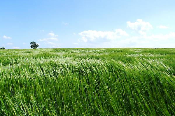 포토 JPG 해외이미지 바람 사람없음 해외202004 해외포토 자연요소 날씨 파일형식 이미지허브