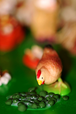 포토 JPG 해외이미지 계절 오렌지 조류 휴가 부활절 병아리 사람없음 장식 빨간색 장난감 농장 갈색 계란 치킨 가축 봄 흰색 시골 축하 공예 깃털 오브젝트 외양간 밭일 암탉 해외202004 해외포토 동물 기념일 컬러 컨셉 농업 과일 취미 알 닭 암컷 닭고기요리 파일형식 이미지허브