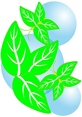 포토 JPG 해외이미지 모양 디자인 나비 곤충 백그라운드 컨셉 잎 패턴 날개 일러스트 상상 자연 추상 아이디어 미술 사람없음 초록색 파란색 컬러풀 환경 검은색 원형 순수 고립 취급주의 해외202004 해외포토 도형 식물 동물 컬러 무늬 문화예술 경고 생태계 파일형식 이미지허브