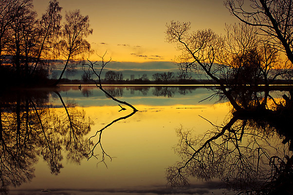 포토 JPG 해외이미지 나무 구름 남자 실루엣 호수 여행 오렌지 자연 하늘 그림자 풍경 사람없음 야외 목재 물 빛 강 반사 노란색 일출 검은색 일몰 폭포 숲 러시아 러시아인 옛날 해외202004 해외포토 자연요소 서양인 식물 유럽 컬러 과일 재료 촬영기법 사람 노을 생태계 파일형식 이미지허브