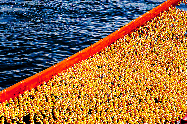 포토 JPG 해외이미지 동물 놀이 조류 오리 사람없음 물 파란색 컬러풀 장난감 노란색 손상 군중 큼 플라스틱 덩어리 제비 많음 해외202004 해외포토 자연요소 컬러 컨셉 재질 사람 크기 파일형식 이미지허브