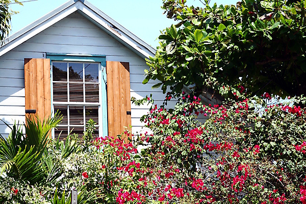 포토 JPG 해외이미지 나무 전통 꽃 벽 여행 건축양식 창문 하늘 휴가 주택 프레임 손바닥 사람없음 건물 목재 장식 파란색 마을 수확 역사 시골집 타운 셔터 옛날 해외202004 해외포토 식물 건축물 손 건축 컬러 농업 재료 도시 파일형식 이미지허브