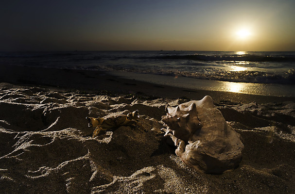 포토 JPG 해외이미지 구름 계절 모래 파도 바다 여행 백그라운드 자연 하늘 아침 휴가 조개 불가사리 풍경 해변 사람없음 야외 물 여름 파란색 컬러풀 여행객 일출 맑음 일몰 껍질 저녁 오브젝트 내추럴 파라다이스 해외202004 해외포토 주간 자연요소 컬러 날씨 어패류 극피동물 사람 노을 야간 생태계 파일형식 이미지허브