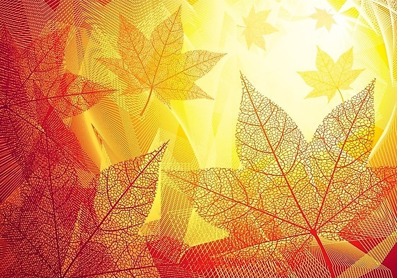 EPS 해외이미지 식물 디자인 계절 꽃다발 백그라운드 잎 오렌지 일러스트 모션 자연 추상 건조 사람없음 가로 빨간색 빛 컬러풀 햇빛 노란색 환경 가을 투명 황금 떨어짐 허브 섬유 광 카피스페이스 해외202004 해외일러스트 꽃 컬러 컨셉 무늬 과일 태양 공백 직물 생태계 파일형식 벡터 이미지허브