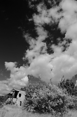 포토 JPG 해외이미지 구름 계절 컨셉 밭 농업 자연 하늘 주택 풍경 사람없음 야외 초록색 여름 햇빛 태양 환경 침묵 흐름 시골 버리기 그림 내추럴 수평선 해외202004 해외포토 자연요소 산업 컬러 모션 건물 소리 생태계 파일형식 이미지허브