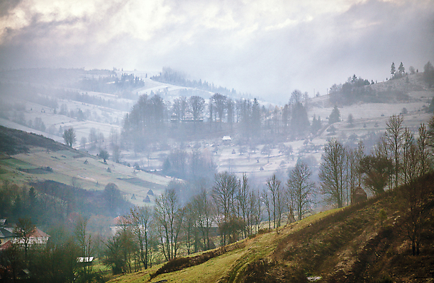 포토 JPG 해외이미지 나무 식물 계절 길 백그라운드 겨울 밭 농업 자연 날씨 산 주택 파노라마 풍경 사람없음 야외 목재 농장 마을 환경 정원 냉동 얼음 침묵 추위 안개 가을 흰색 시골 12월 11월 언덕 서리 장면 우크라이나 세련 해외202004 해외포토 자연요소 유럽 산업 컬러 재료 촬영기법 건물 소리 날짜 생태계 파일형식 이미지허브