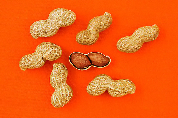 포토 JPG 해외이미지 음식 백그라운드 오렌지 자연 건강 씨앗 사람없음 가로 갈색 견과류 껍질 먹기 알맹이 땅콩 고립 땅바닥 핵심 해외202004 해외포토 식물 컬러 과일 모션 바닥 생태계 파일형식 이미지허브