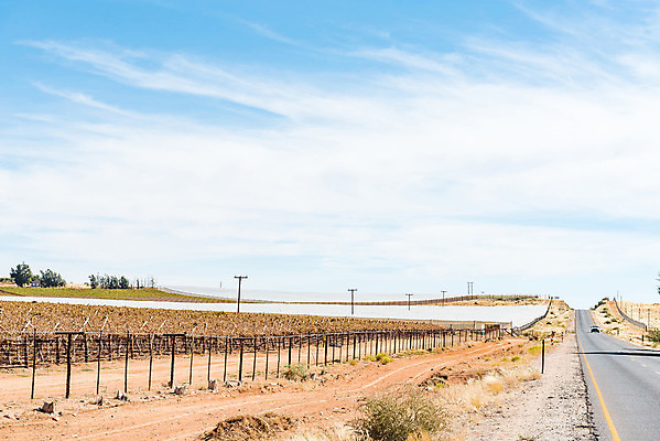포토 JPG 해외이미지 도로 겨울 농업 아프리카 풍경 사람없음 햇빛 농장 맑음 시골 아스팔트 포도밭 남아프리카 칼라하리 해외202004 해외포토 계절 나라 산업 길 밭 교통시설 날씨 태양 사막 파일형식 이미지허브