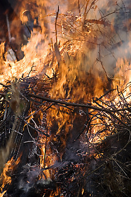포토 JPG 해외이미지 사람없음 야외 목재 황혼 캠핑 나뭇가지 뜨거움 모닥불 통나무 해외202004 해외포토 나무 재료 불 레저 일몰 파일형식 이미지허브