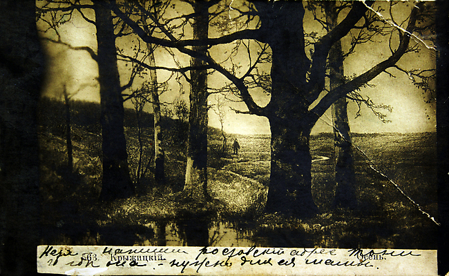 포토 JPG 해외이미지 나무 식물 계절 공원 실루엣 길 줄기 낙엽 잎 일러스트 자연 미술 풍경 사람없음 야외 가로 빛 글로벌 햇빛 걷기 환경 활발 수확 안개 골동품 가을 나뭇가지 인사 신용카드 그리기 역사 재산 야간 숲 신비 수집 그림 복고 지역 특별함 해외202004 해외포토 자연요소 공공시설 컨셉 농업 모션 날씨 문화예술 촬영기법 금융 태양 예절 생태계 파일형식 이미지허브