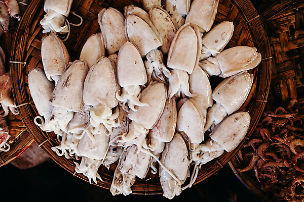 포토 JPG 해외이미지 아시아 음식 바다 백그라운드 자연 건강 요리 동양인 사람없음 쌓기 식사 저녁식사 흰색 신선 그룹 시장 먹기 해산물 오징어 날것 지역 많음 해외202004 해외포토 나라 컬러 컨셉 모션 연체동물 인종 수중동물 생태계 파일형식 이미지허브