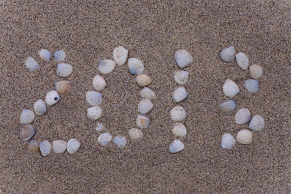 포토 JPG 해외이미지 계절 모래 바다 여행 백그라운드 크리스마스 텍스트 자연 휴가 미래 조개 휴식 새로움 프레임 사람없음 여름 모래사장 숫자 우주 맑음 쪽지 공백 달력 껍질 축하 그리기 날짜 메시지 연도 심볼 질감 이국적 처음 카피스페이스 해외202004 해외포토 문자 기념일 컨셉 모션 날씨 어패류 생태계 파일형식 이미지허브