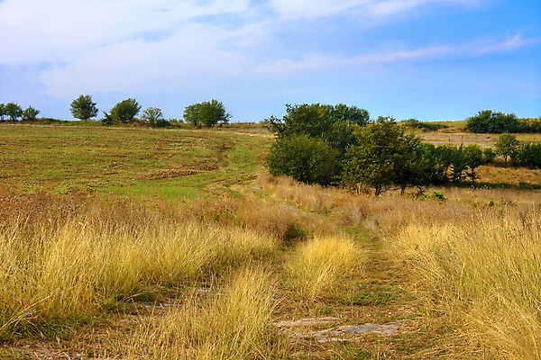 포토 JPG 해외이미지 구름 도로 여행 밭 풍경 사람없음 야외 초록색 여름 파란색 시골 고속도로 땅 오지 수평선 해외202004 해외포토 자연요소 계절 길 컬러 농업 교통시설 파일형식 이미지허브