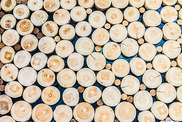 포토 JPG 해외이미지 모양 나무 식물 디자인 산업 조각 백그라운드 십자가 패턴 부분 공 자연 표면 사람없음 내부 목재 갈색 줄무늬 반지 소나무 점 원형 역사 균열 널 숲 자르기 유기농 질감 통나무 나무껍질 잡동사니 덩어리 내추럴 그런지 수목 옛날 노화 해외202004 해외포토 도형 웰빙 컬러 컨셉 무늬 재료 장신구 모션 껍질 생태계 파일형식 이미지허브