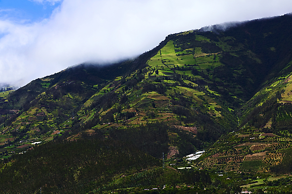 포토 JPG 해외이미지 나무 식물 구름 도로 음식 밭 농업 과일 산 주택 종류 풍경 경사 사람없음 건물 가로 초록색 농장 정원 시골 씻기 숲 작음 오두막 과수원 언덕 눈금 에콰도르 산악지대 밭일 해외202004 해외포토 자연요소 건축물 산업 길 컬러 교통시설 청결 남아메리카 크기 파일형식 이미지허브