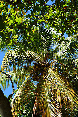 포토 JPG 해외이미지 바다 여행 휴가 사람없음 해외202004 해외포토 파일형식 이미지허브