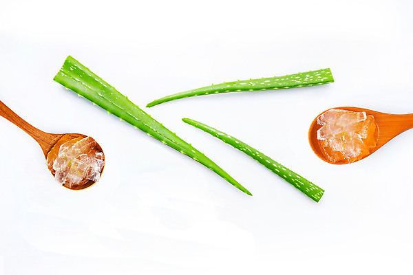 포토 JPG 해외이미지 스튜디오촬영 실내 사람없음 초록색 흰배경 나무숟가락 나무그릇 알로에 해외202004 해외포토 식물 그릇 컬러 백그라운드 내부 목재 숟가락 흰색 파일형식 이미지허브