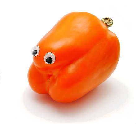 포토 JPG 해외이미지 음식 백그라운드 농업 채소 오렌지 고추 파프리카 사람없음 컬러풀 수확 종 흰색 신선 달콤 맛 후추 고립 바이오 숙성 해외202004 해외포토 산업 컬러 컨셉 과일 향신료 파일형식 이미지허브