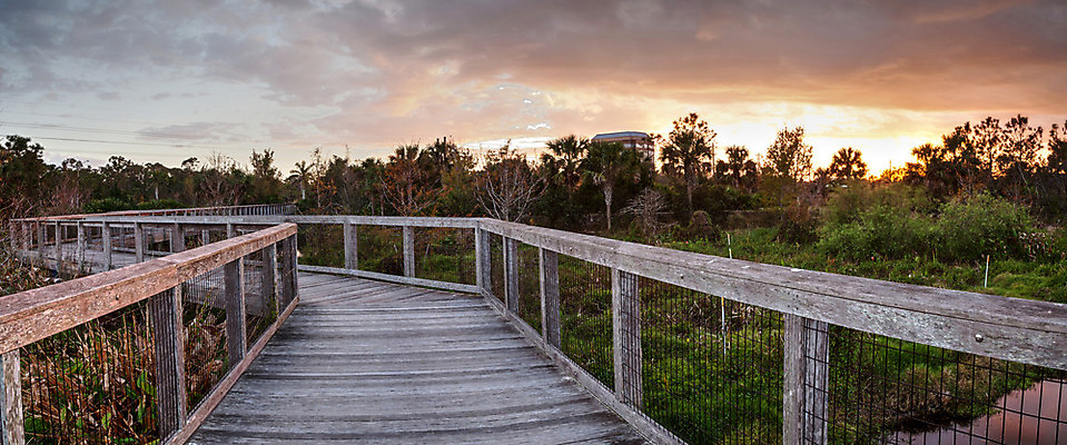 포토 JPG 해외이미지 구름 공원 길 여행 벤치 자국 자연 하늘 풍경 사람없음 목재 물 반사 정원 침묵 일몰 산책로 연못 고독 습지 나폴리 보호구역 플로리다 해외202004 해외포토 자연요소 나무 공공시설 감정 의자 재료 노을 미국 소리 이탈리아 생태계 구역 파일형식 이미지허브