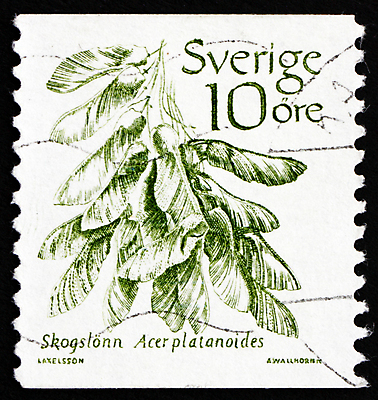 포토 JPG 해외이미지 나무 식물 종이 단풍 통신 자연 기념 스웨덴 노르웨이 취미 사람없음 사무실 수확 골동품 구멍 편지 수집 서비스 복고 우표 취소 고립 옛날 이슈 중고 편지쓰기 해외202004 해외포토 유럽 잎 농업 비즈니스 북유럽 기록 생태계 파일형식 이미지허브