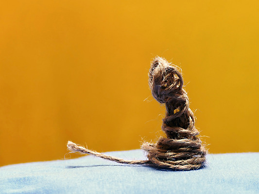 포토 JPG 해외이미지 모양 밧줄 상상 사람없음 장난감 고양이 실 코드 정물화 해외202004 해외포토 줄 포유류 반려동물 그림 파일형식 이미지허브