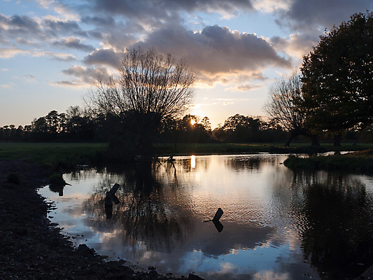 포토 JPG 해외이미지 나무 식물 계절 공원 호수 백그라운드 겨울 자연 하늘 표면 아침 풍경 사람없음 야외 물 빛 강 반사 노란색 환경 맑음 침묵 봄 추위 가을 흰색 나뭇가지 시골 개울 숲 강가 11월 장면 내추럴 넘어짐 벌거벗은 해외202004 해외포토 주간 자연요소 공공시설 컬러 모션 날씨 소리 날짜 생태계 파일형식 이미지허브