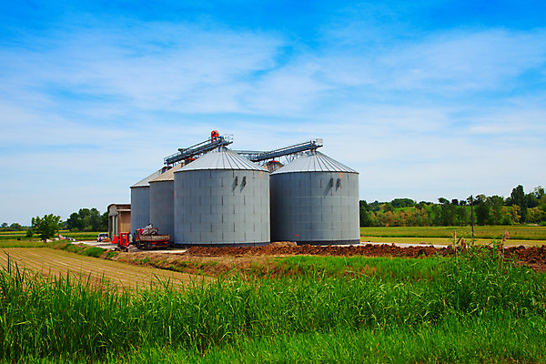포토 JPG 해외이미지 식물 외관 산업 음식 밭 농업 공장 자연 하늘 옥수수 풍경 사람없음 건물 여름 파란색 농장 금속 수확 쓰레기통 시골 은색 낟알 컨테이너 시리얼 밀 창고 탱크 수납 밭일 사일로 철강 해외202004 해외포토 건축물 계절 컬러 공업 재질 곡류 생태계 파일형식 이미지허브