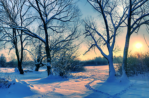 포토 JPG 해외이미지 나무 계절 공원 여행 크리스마스 겨울 자연 하늘 날씨 풍경 사람없음 야외 빨간색 파란색 빛 강 컬러풀 햇빛 태양 일출 냉동 얼음 황혼 일몰 새벽 추위 흰색 나뭇가지 시골 황무지 저녁 숲 12월 역동적 서리 장면 북쪽 1월 내추럴 눈내림 해외202004 해외포토 자연요소 식물 공공시설 기념일 컬러 컨셉 눈_날씨 노을 날짜 야간 방향 생태계 파일형식 이미지허브