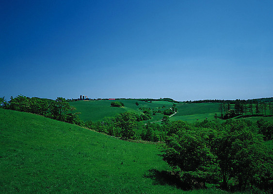 포토 JPG 해외이미지 나무 식물 구름 계절 공원 도로 길 여행 백그라운드 밭 오렌지 자연 하늘 날씨 풍경 잔디 사람없음 야외 초록색 여름 빛 햇빛 태양 농장 노란색 평화 일출 환경 정원 맑음 일몰 흙 봄 안개 광선 흰색 시골 신선 떨어짐 숲 땅 언덕 장면 넘어짐 땅바닥 방법 생태학 수평선 해외202004 해외포토 자연요소 공공시설 교육 컬러 컨셉 농업 과일 교통시설 모션 바닥 노을 생태계 파일형식 이미지허브