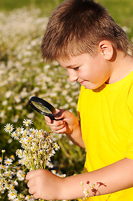 포토 JPG 해외이미지 나무 백인 학생 라이프스타일 손 응시 남자 꽃 행복 어린이 여행 백그라운드 컨셉 밭 유리 한명 미소 사람 소년 야외 초록색 스터디 노란색 보라색 관찰 신선 잡기 확대 작음 오브젝트 검색 내추럴 고립 블러 흥미 해외202004 해외포토 서양인 식물 1 시선 감정 컬러 농업 모션 재질 표정 생활 신체부위 학습 크기 파일형식 이미지허브