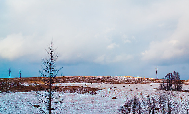 포토 JPG 해외이미지 구름 유럽 여행 잎 밭 자연 휴식 산 거리 파노라마 사람 풍경 사람없음 농장 환경 가을 오픈 중앙 숲 생태계 기회 역동적 먼지 발견 내추럴 무한 현실 안락 해외202004 해외포토 자연요소 식물 계절 나라 컨셉 농업 촬영기법 파일형식 이미지허브