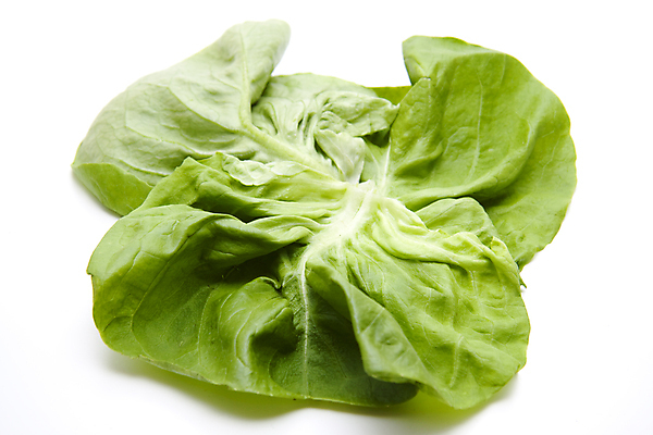 포토 JPG 해외이미지 음식 잎 채소 사람없음 초록색 식사 샐러드 수확 신선 상추 먹기 흰배경 날것 해외202004 해외포토 식물 컬러 백그라운드 농업 모션 흰색 파일형식 이미지허브