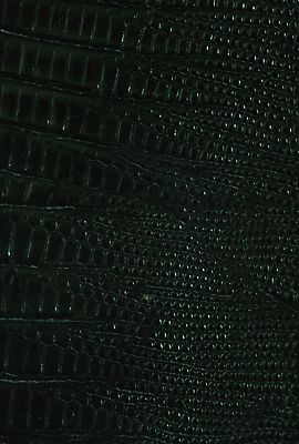 포토 JPG 해외이미지 동물 디자인 백그라운드 패턴 가방 파충류 자연 표면 추상 프레임 미술 사람없음 유행 검은색 어둠 수확 직물 뱀 소 고급 가죽 피부 질감 눈금 도마뱀 악어 인공 스타일 효과 해외202004 해외포토 잡화 컬러 컨셉 무늬 농업 포유류 문화예술 신체부위 생태계 파일형식 이미지허브